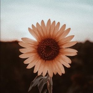 Meet your Posher, Sophia